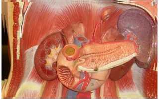 Воспаление поджелудочной железы — симптомы и лечение