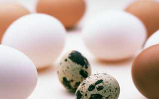 Можно ли яйца при панкреатите поджелудочной железы
